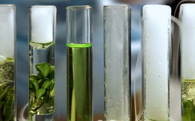 Etudes de France Agro³ pour améliorer la santé des sols