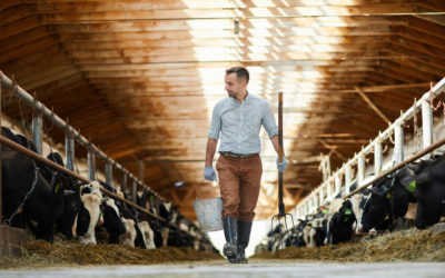 Présentation de l’ouvrage : « L’élevage pour l’agroécologie et une alimentation durable »