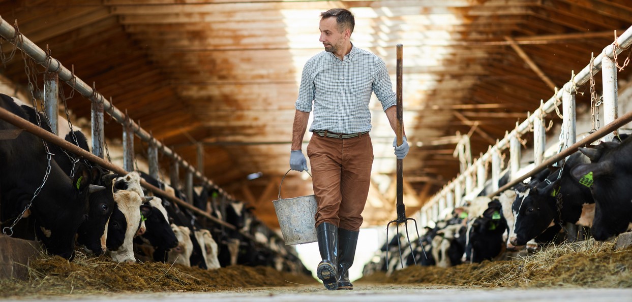 Worker of livestock farm éleveur - responsabilité environnementale - agroécologie