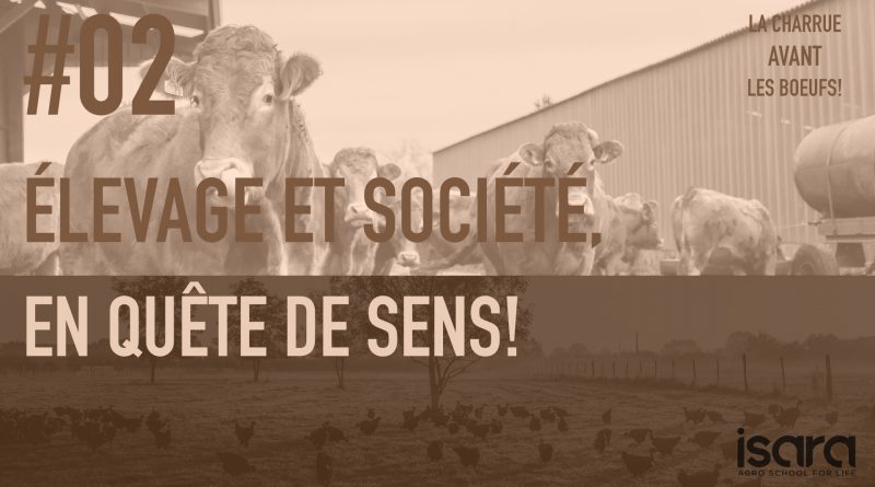 vignette charrue avant les boeufs charrue avant les bœufs ISARA Olivier Duchêne Edouard Sory