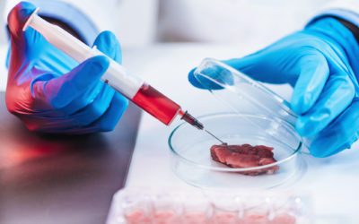 Cultiver du muscle in vitro pour produire de la viande : une alternative prometteuse aux produits carnés ?