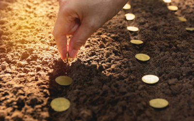 Pour investir dans les écoles d’agronomie de demain !