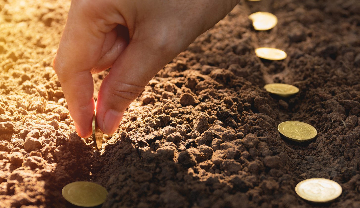 Seedling and saving concept by human hand, Human seeding coins in soil for growing money. taxe apprentissage 2021 environnement