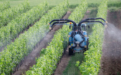 Saviez-vous que l’Ozone est un sérieux candidat pour substituer certains produits phytosanitaires en agronomie ?